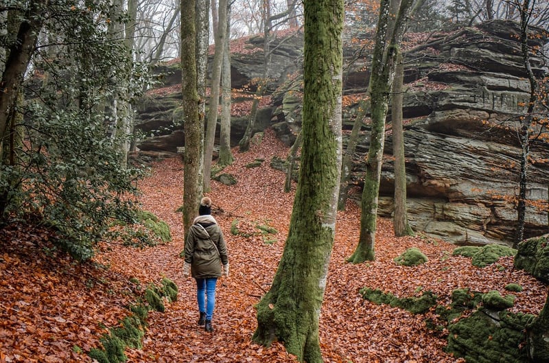 Hiking Equipment