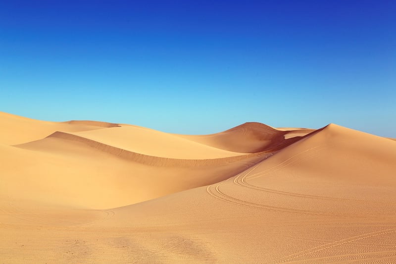 Desert Expedition